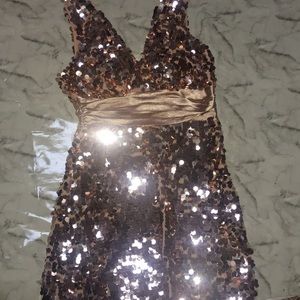 Rose Gold Sequin Forever 21 Party Dress